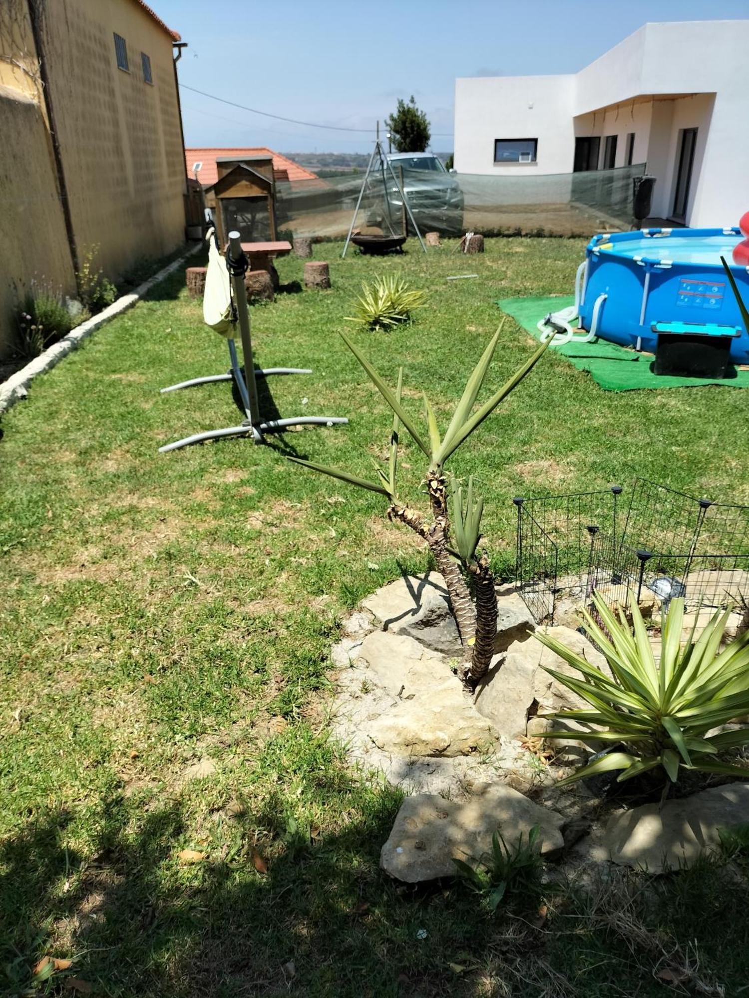 Dinocamp Guest House Lourinha  Bagian luar foto