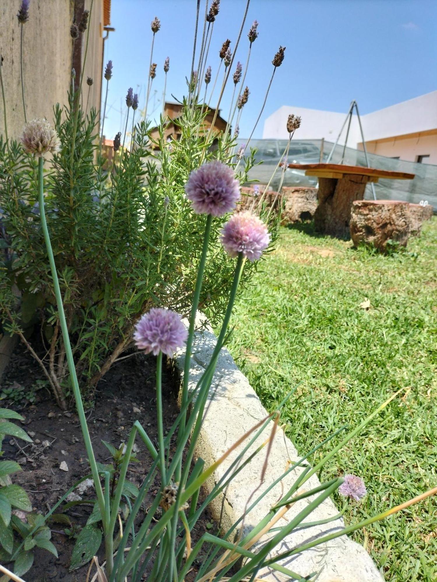 Dinocamp Guest House Lourinha  Bagian luar foto